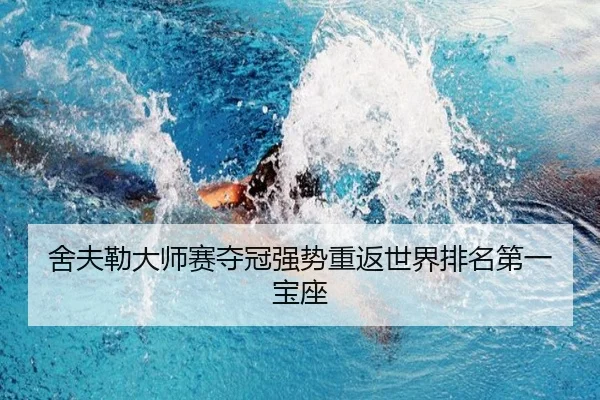 she-fu-lei-da-shi-sai-duo-guan-qiang-shi-chong-fan-shi-jie-pai-ming-di-yi-bao-zuo-2-539.jpg