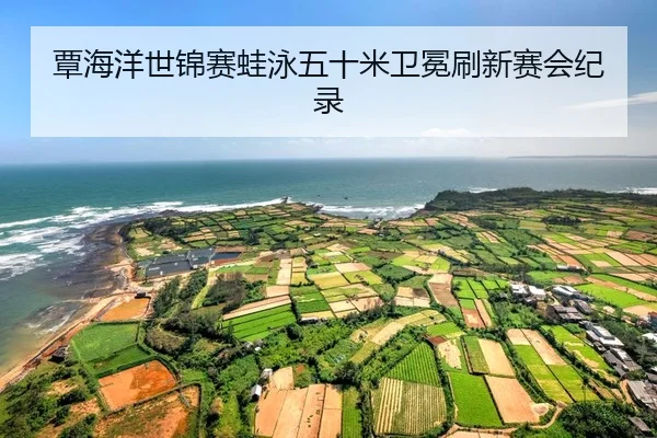 tan-hai-yang-shi-jin-sai-wa-yong-wu-shi-mi-wei-mian-shua-xin-sai-hui-ji-lu-2-714.jpg