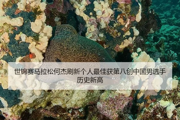 shi-jin-sai-ma-la-song-he-jie-shua-xin-ge-ren-zui-jia-huo-di-ba-chuang-zhong-guo-nan-xuan-shou-li-shi-xin-gao-2-748.jpg