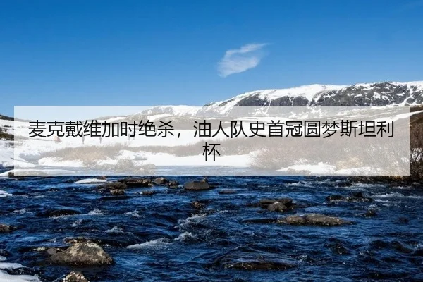 麦克戴维加时绝杀，油人队史首冠圆梦斯坦利杯
