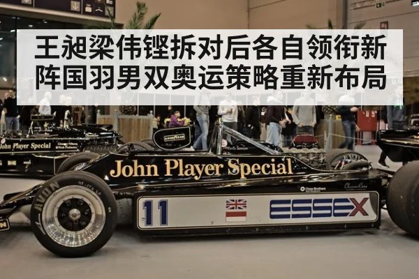 王昶梁伟铿拆对后各自领衔新阵国羽男双奥运策略重新布局